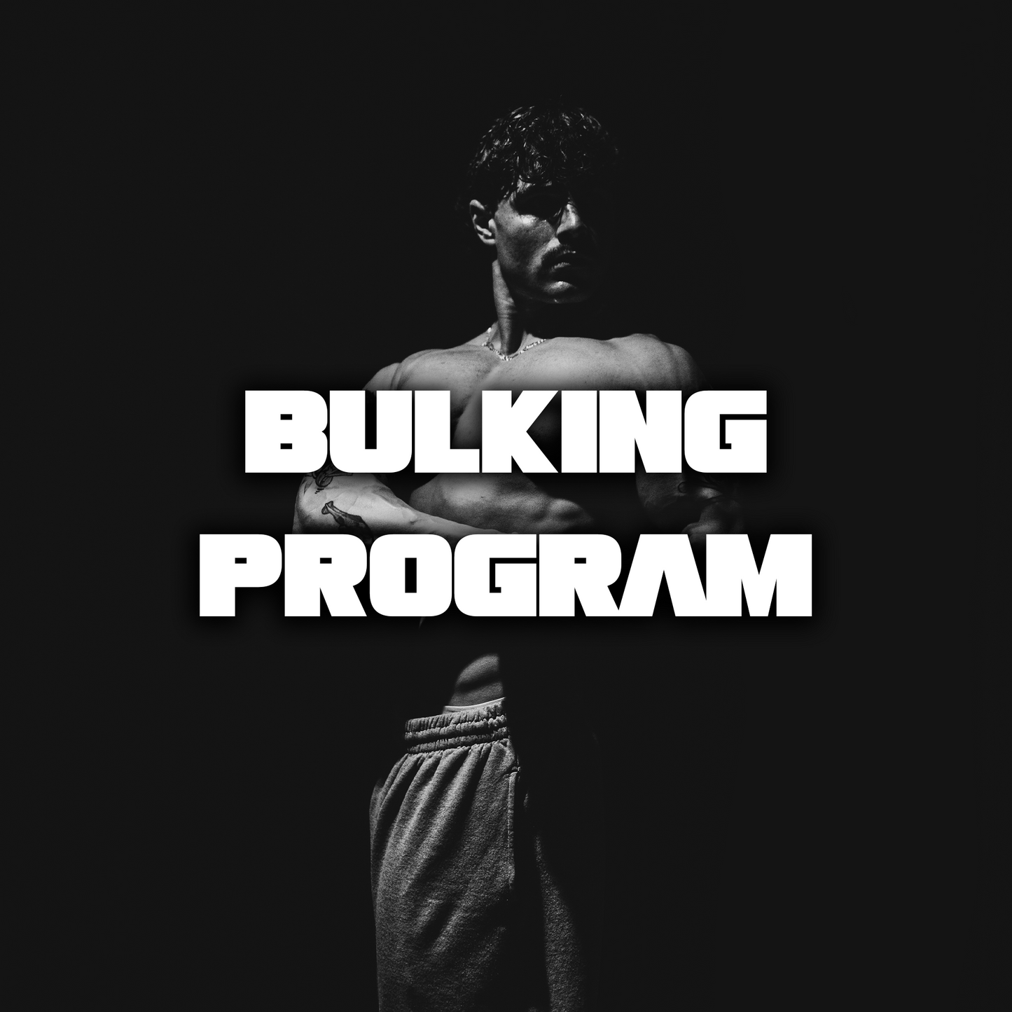 BULKING PROGRAM DIET