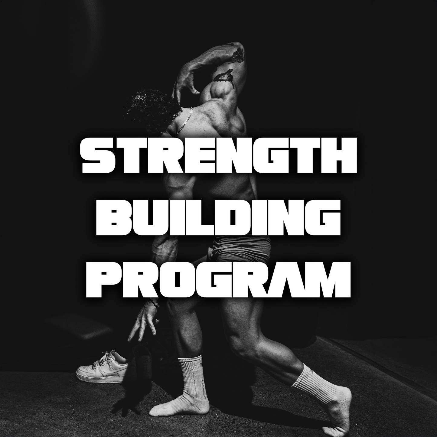 STRENGTH TRAINING PROGRAM Modern muscle
