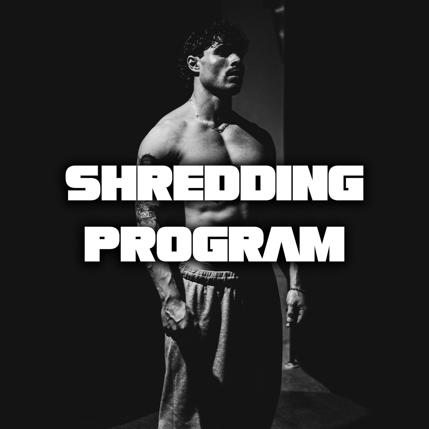 SHREDDING PROGRAM