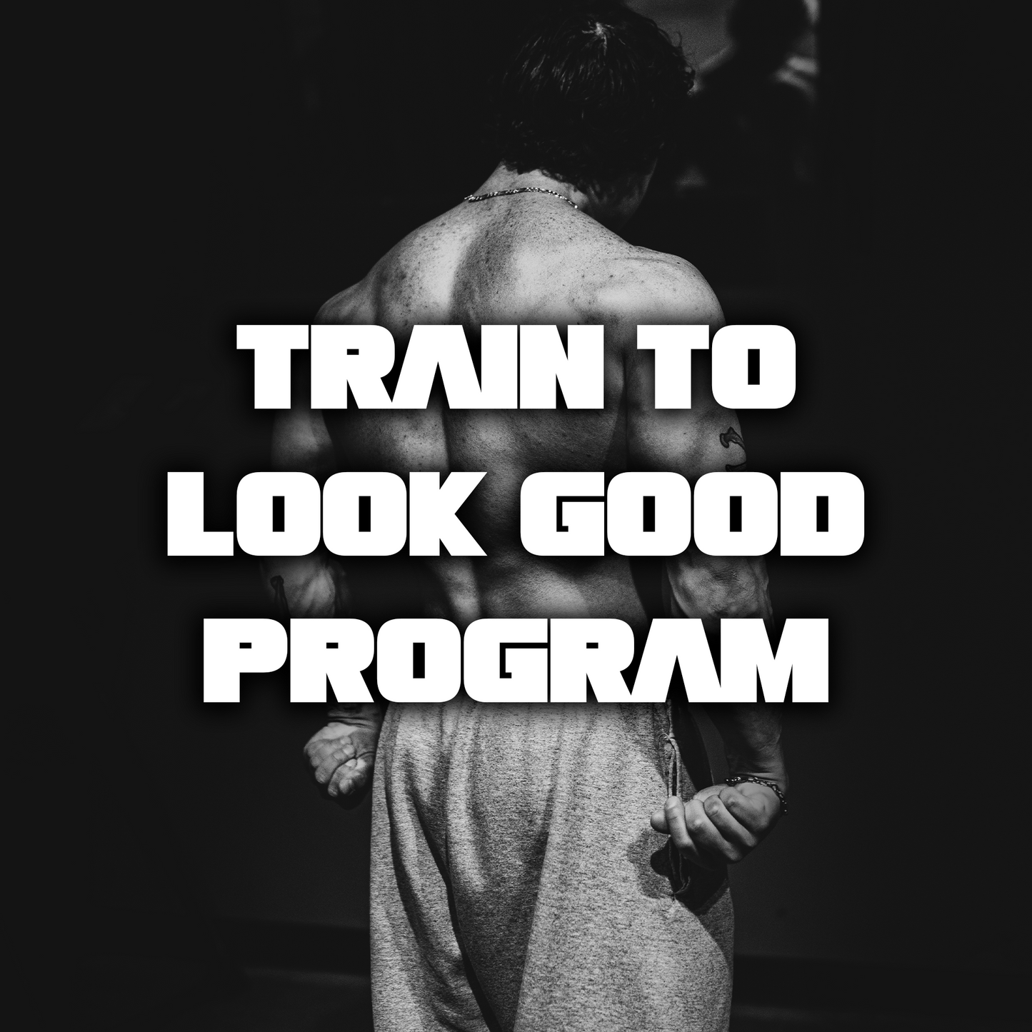 TRAIN TO LOOK GOOD PROGRAM